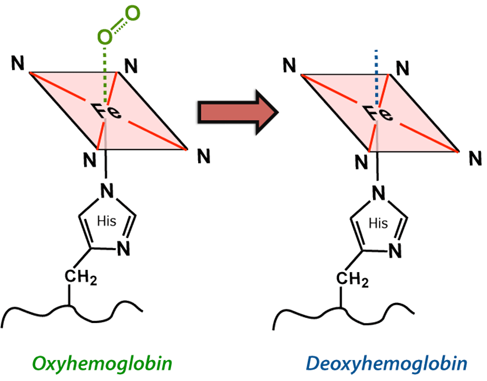 イラスト Deoxy.Hb' Cyanosis | Discoloration of the skin. — Steemit